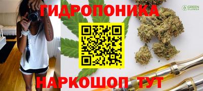 гидра Бузулук