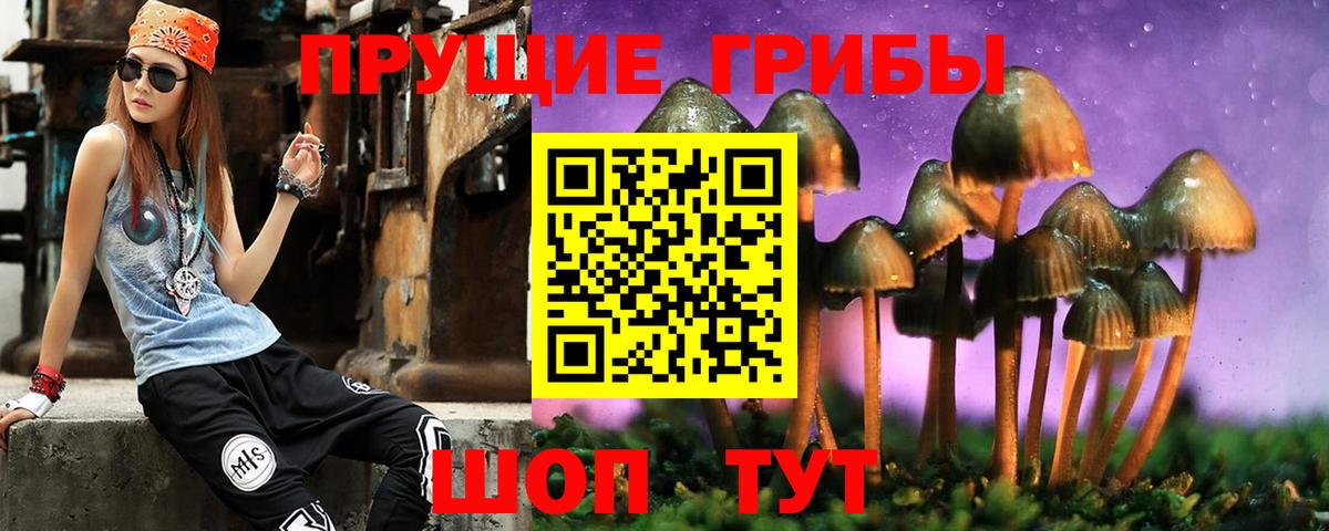 Псилоцибиновые грибы Cubensis Чебоксары